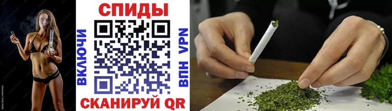 БУТИРАТ буратино  блэк спрут как зайти  Мураши 