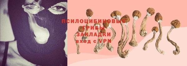 гашик Балабаново