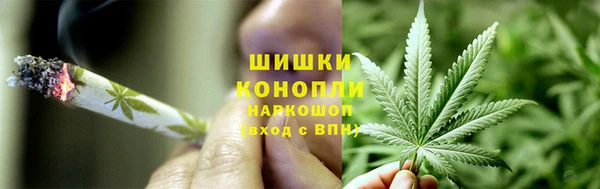 кокс Арсеньев