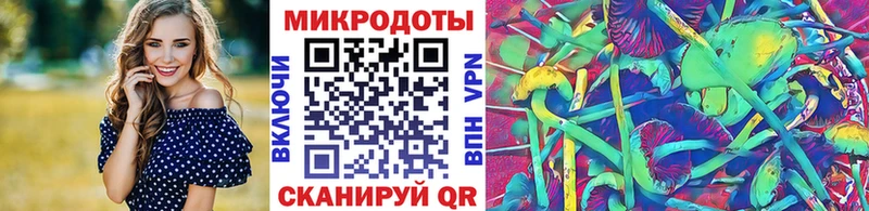 Галлюциногенные грибы Psilocybe Мураши